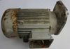 EP Mot, 1 PhasenGetriebemotor 230 V, 4 pol, 1,3 KW, neu-wickeln-neu-lagern-sonderflanschmotor nicht ersetzbar, neu wickeln, im Bild der EP Motor ohne Getriebe